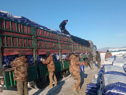 聚焦北大荒｜勤得利分公司科学备耕“稳开局”